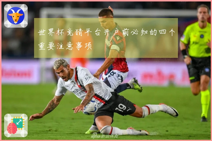 世界杯竞猜平台开户前必知的四个重要注意事项