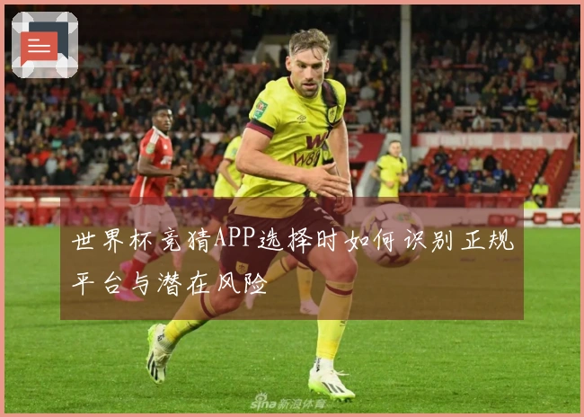 世界杯竞猜APP选择时如何识别正规平台与潜在风险