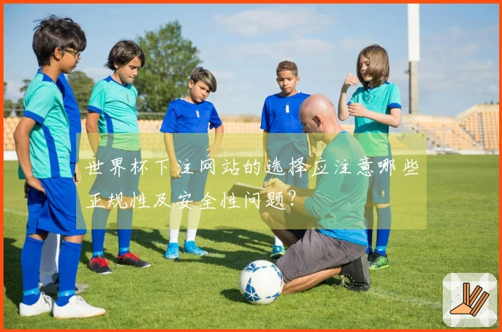 世界杯下注网站的选择应注意哪些正规性及安全性问题？